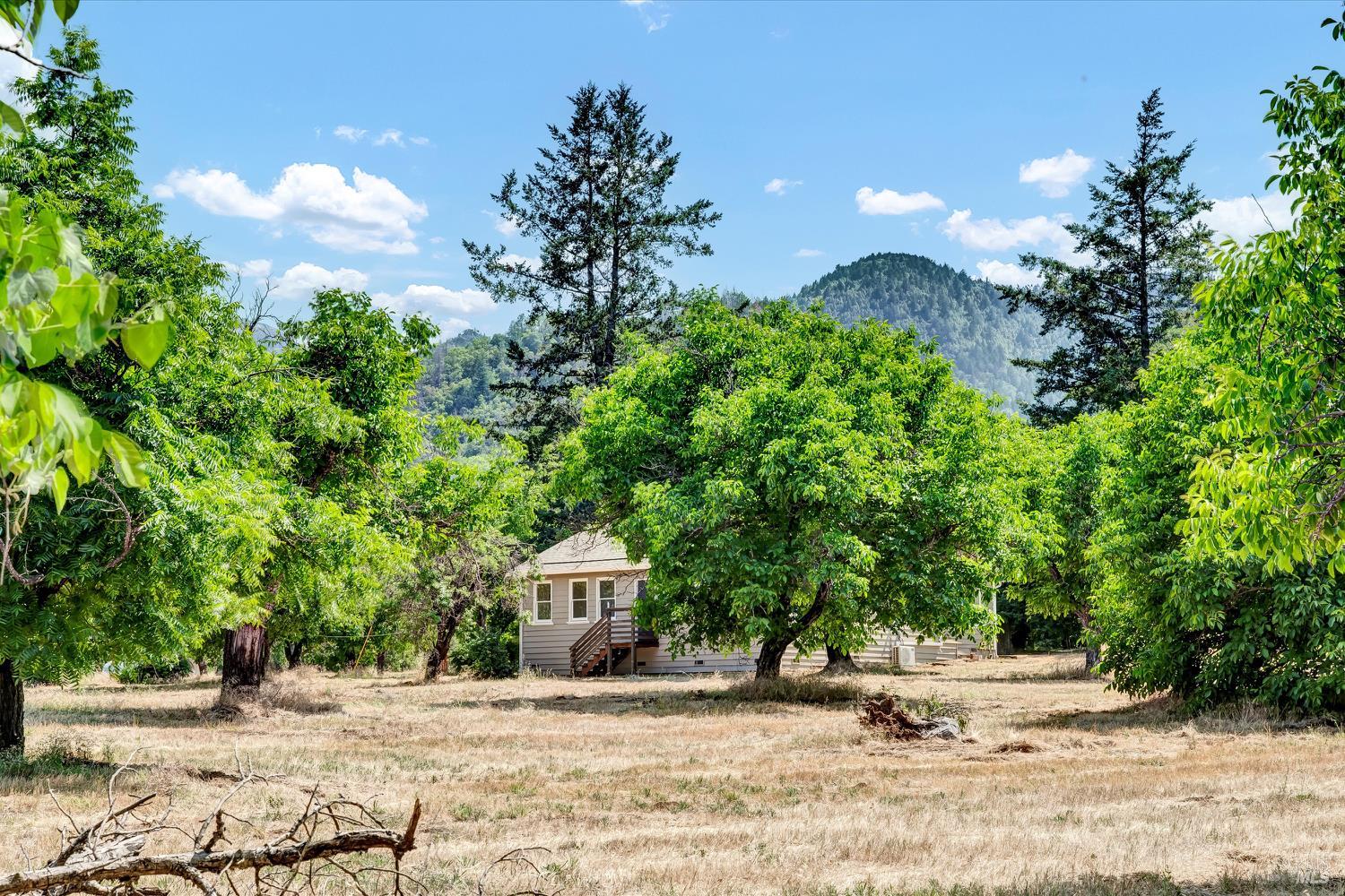 Detail Gallery Image 44 of 50 For 22550 Shady Grove Rd, Middletown,  CA 95461 - 3 Beds | 1 Baths