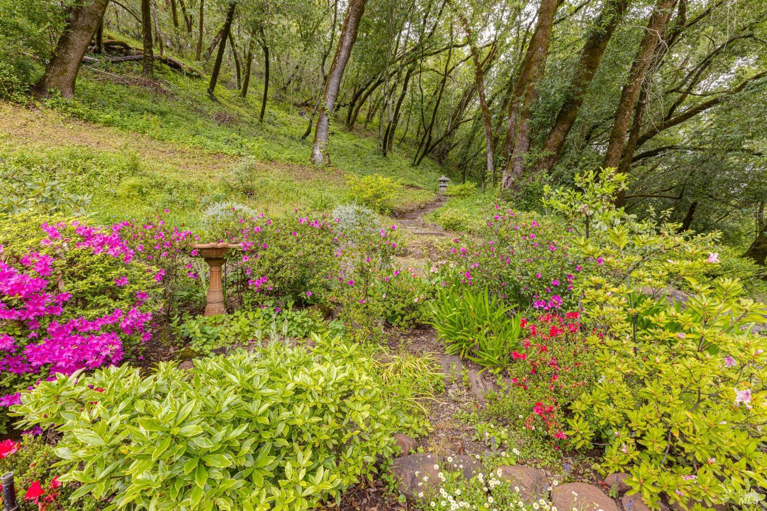 Detail Gallery Image 39 of 59 For 9200 Bennett Valley Rd, Glen Ellen,  CA 95442 - 3 Beds | 2/1 Baths