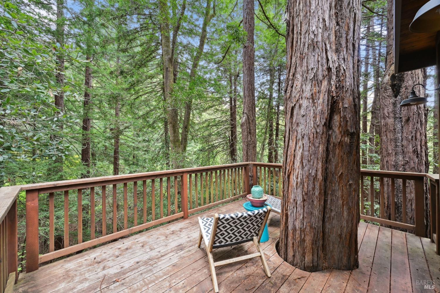 Detail Gallery Image 21 of 35 For 4 Wainwright Pl, Mill Valley,  CA 94941 - 4 Beds | 2/1 Baths