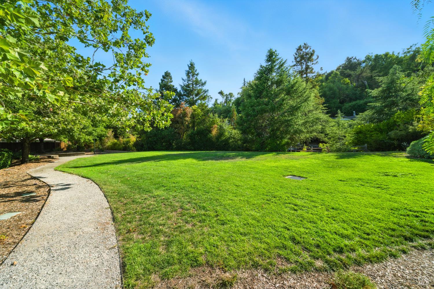 Detail Gallery Image 45 of 48 For 50 Sandy Creek Way, Larkspur,  CA 94939 - 4 Beds | 3/1 Baths