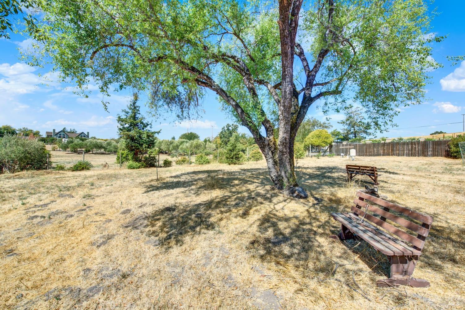 Detail Gallery Image 50 of 65 For 1669 Atlas Peak Rd, Napa,  CA 94558 - 3 Beds | 3 Baths