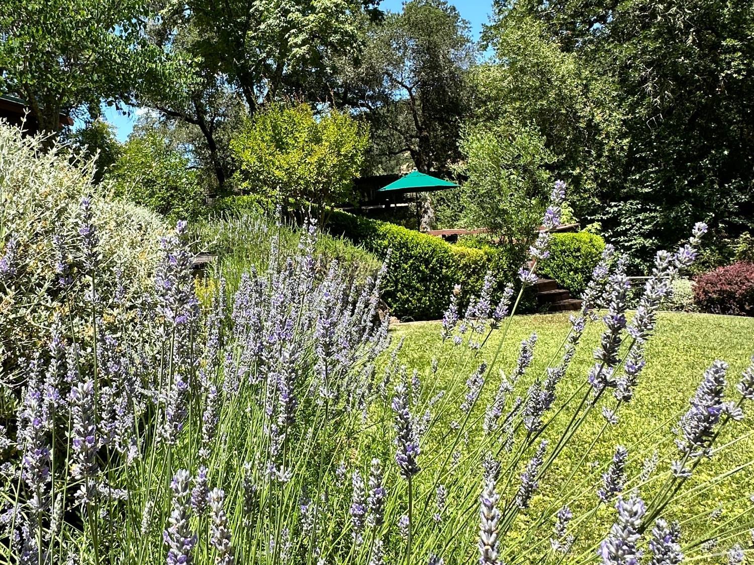 Detail Gallery Image 33 of 59 For 9200 Bennett Valley Rd, Glen Ellen,  CA 95442 - 3 Beds | 2/1 Baths