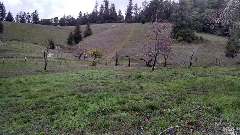 Detail Gallery Image 43 of 45 For 13333 Low Gap Rd, Ukiah,  CA 95482 - 5 Beds | 2/1 Baths