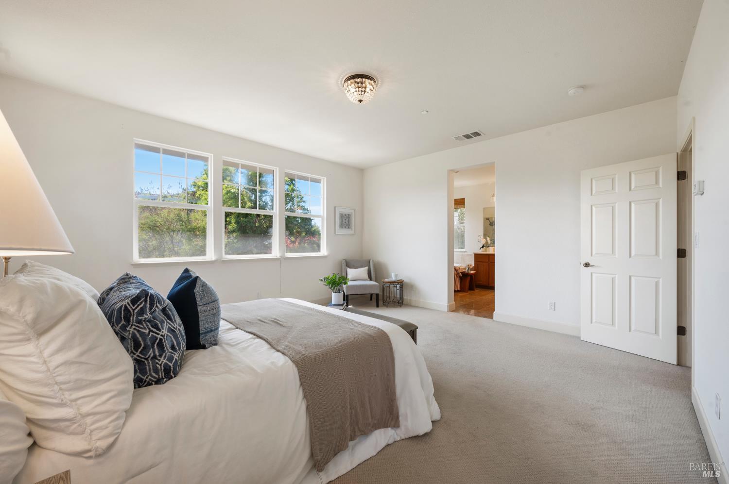 Detail Gallery Image 39 of 65 For 1203 Peppergrass St, Napa,  CA 94558 - 4 Beds | 3/1 Baths