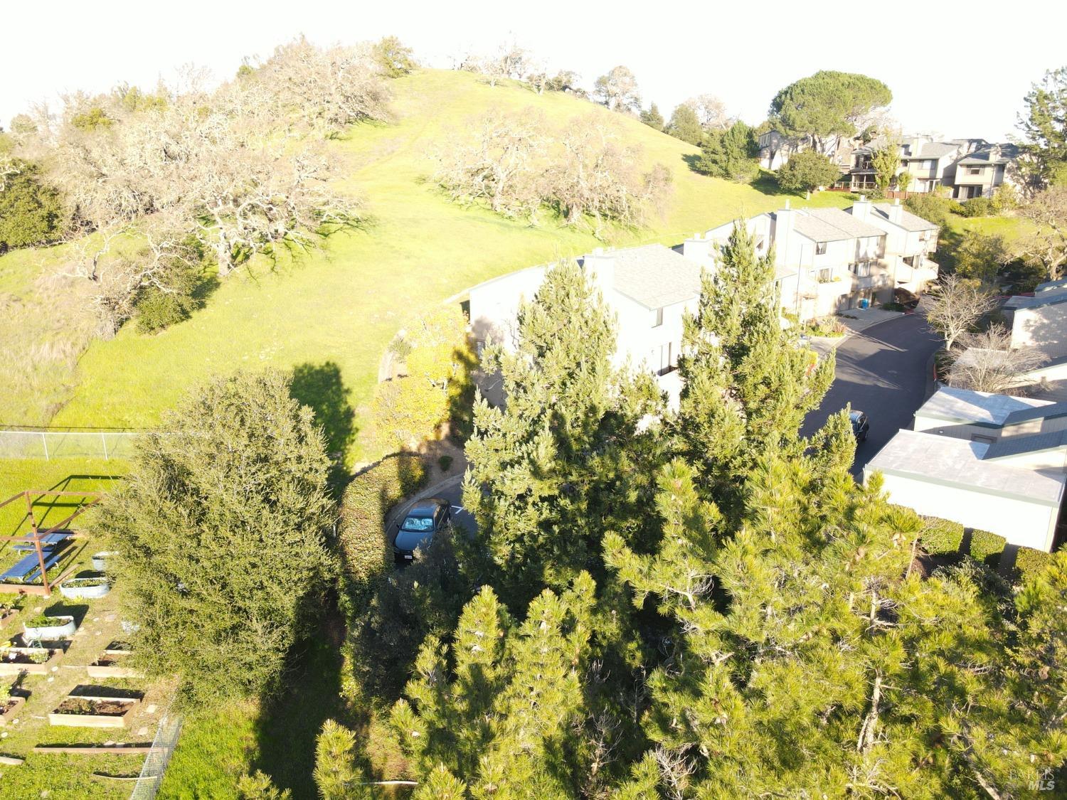 Detail Gallery Image 31 of 32 For 1 Columbine Ln, Novato,  CA 94947 - 3 Beds | 2/1 Baths