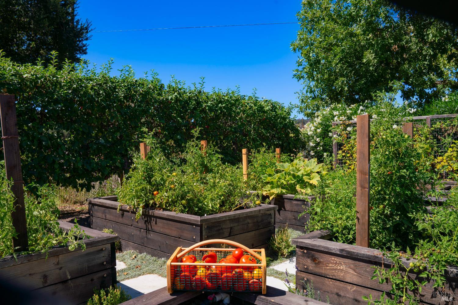 Detail Gallery Image 37 of 44 For 13671 Chalk Hill Rd, Healdsburg,  CA 95448 - 3 Beds | 3 Baths