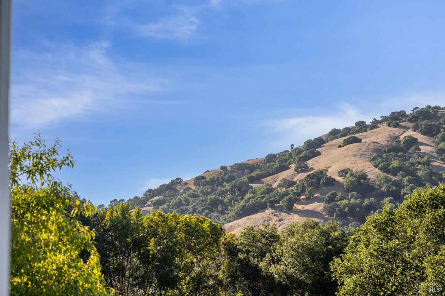 Detail Gallery Image 50 of 58 For 467 Cedar Hill Dr, San Rafael,  CA 94903 - 5 Beds | 3 Baths