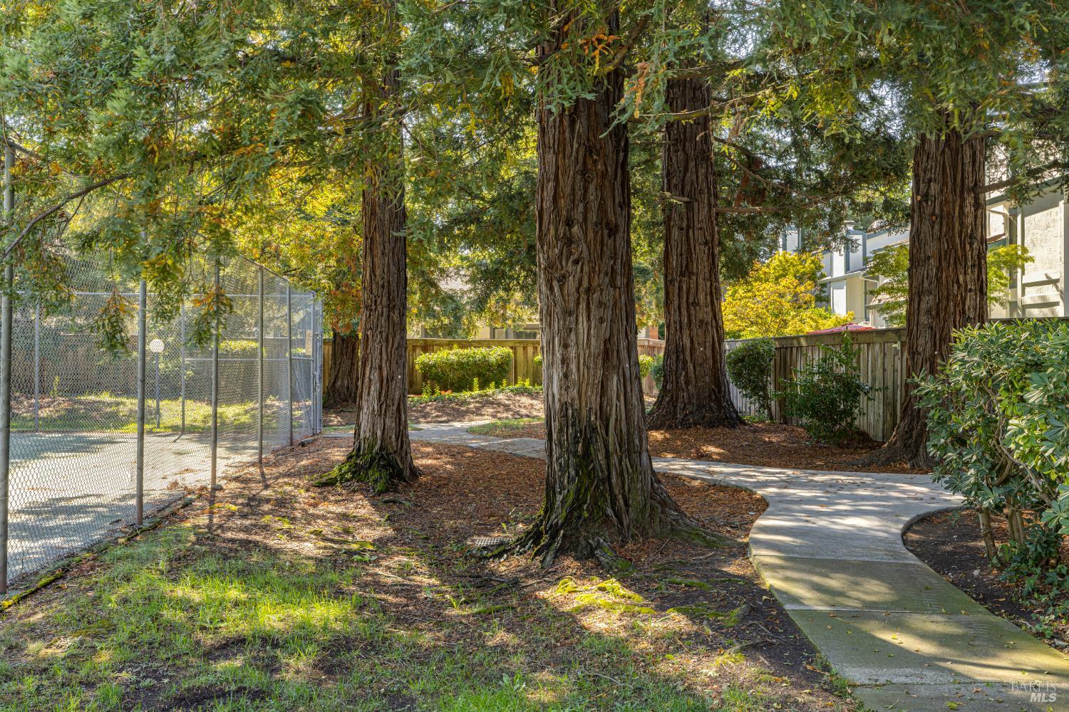 Detail Gallery Image 30 of 43 For 601 Marylyn Cir, Petaluma,  CA 94954 - 3 Beds | 2 Baths