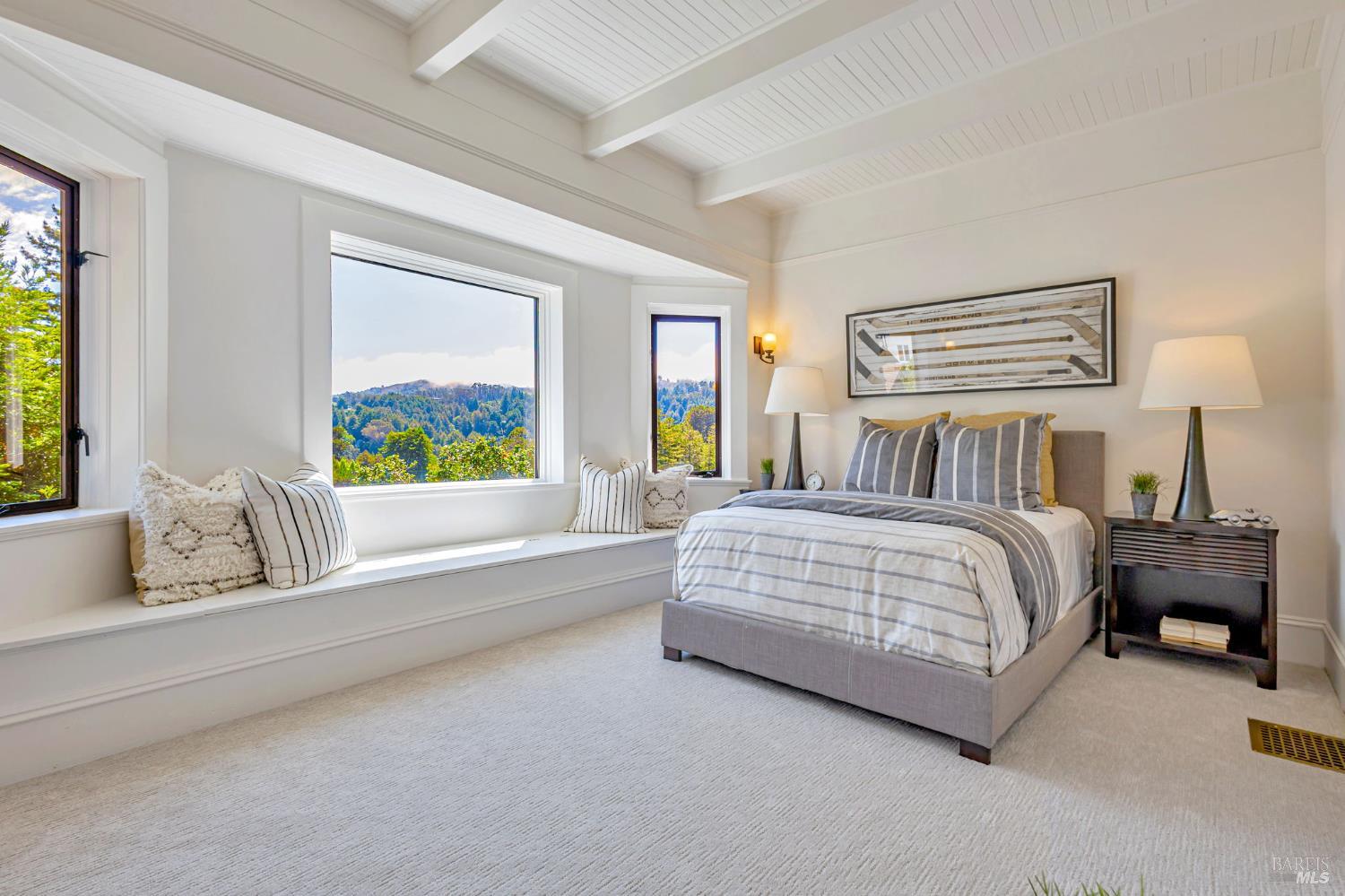 Detail Gallery Image 19 of 37 For 47 Coronet Ave, Mill Valley,  CA 94941 - 5 Beds | 4 Baths