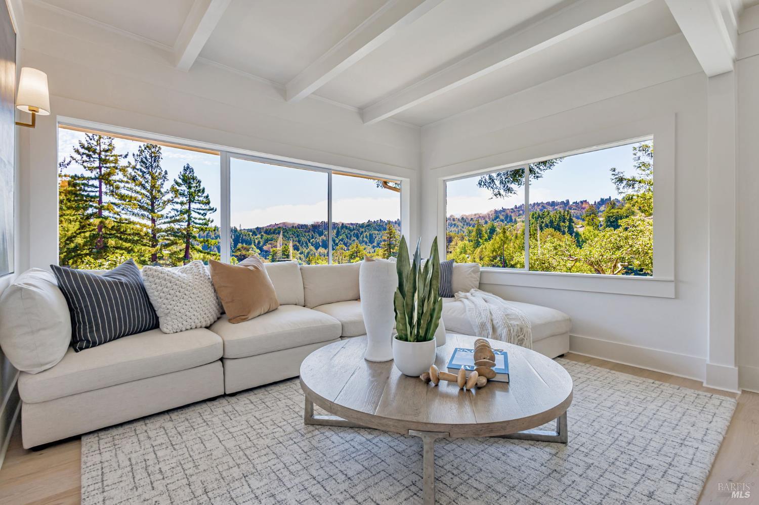Detail Gallery Image 10 of 37 For 47 Coronet Ave, Mill Valley,  CA 94941 - 5 Beds | 4 Baths