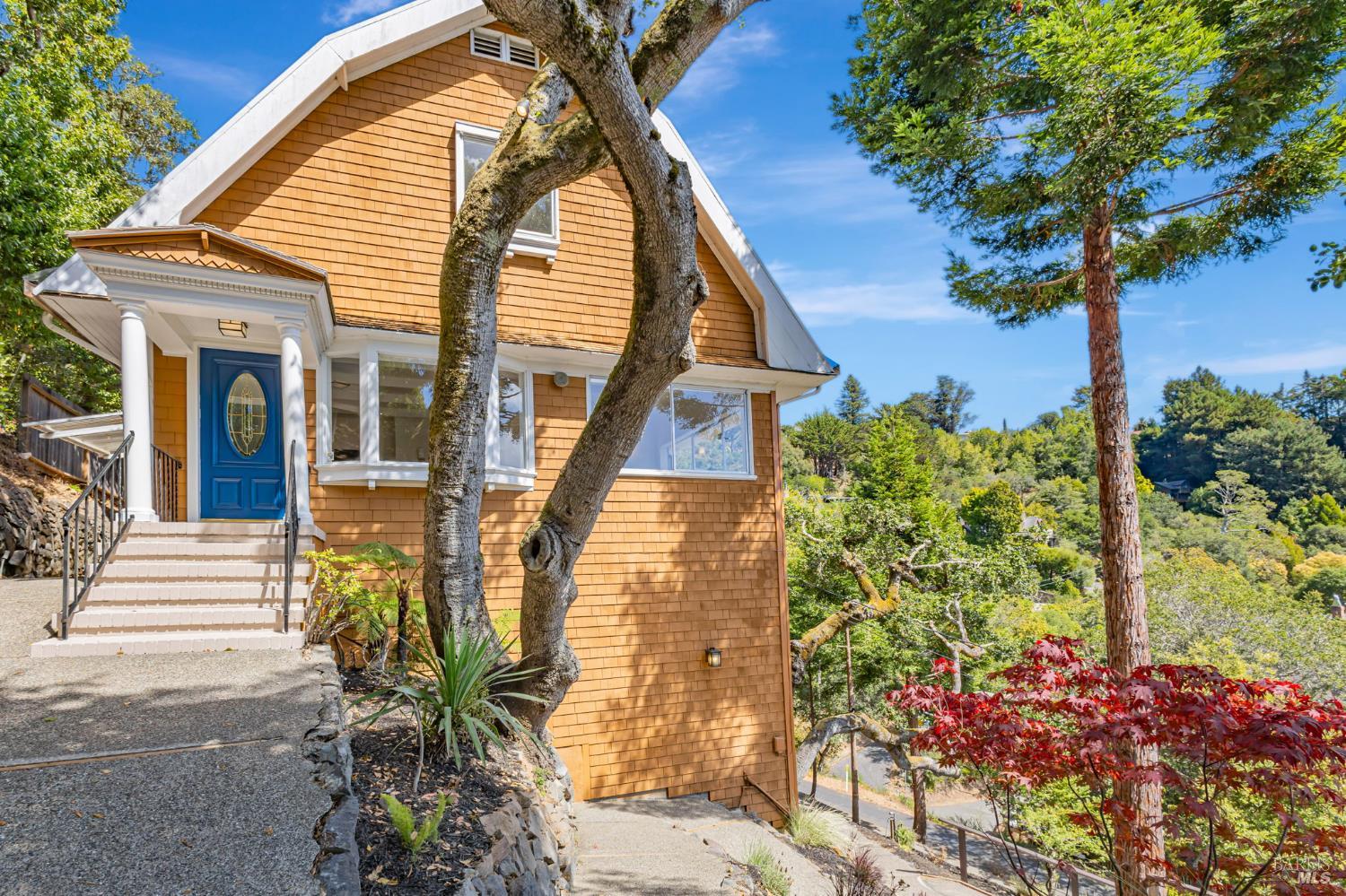 Detail Gallery Image 3 of 37 For 47 Coronet Ave, Mill Valley,  CA 94941 - 5 Beds | 4 Baths