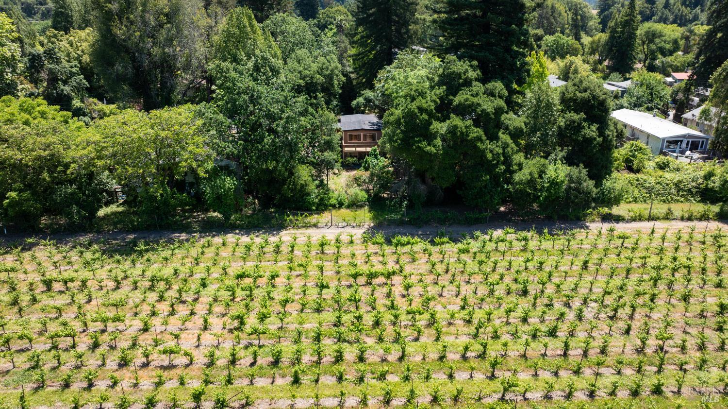 Detail Gallery Image 27 of 27 For 14430 Western Ave, Guerneville,  CA 95446 - 2 Beds | 1 Baths