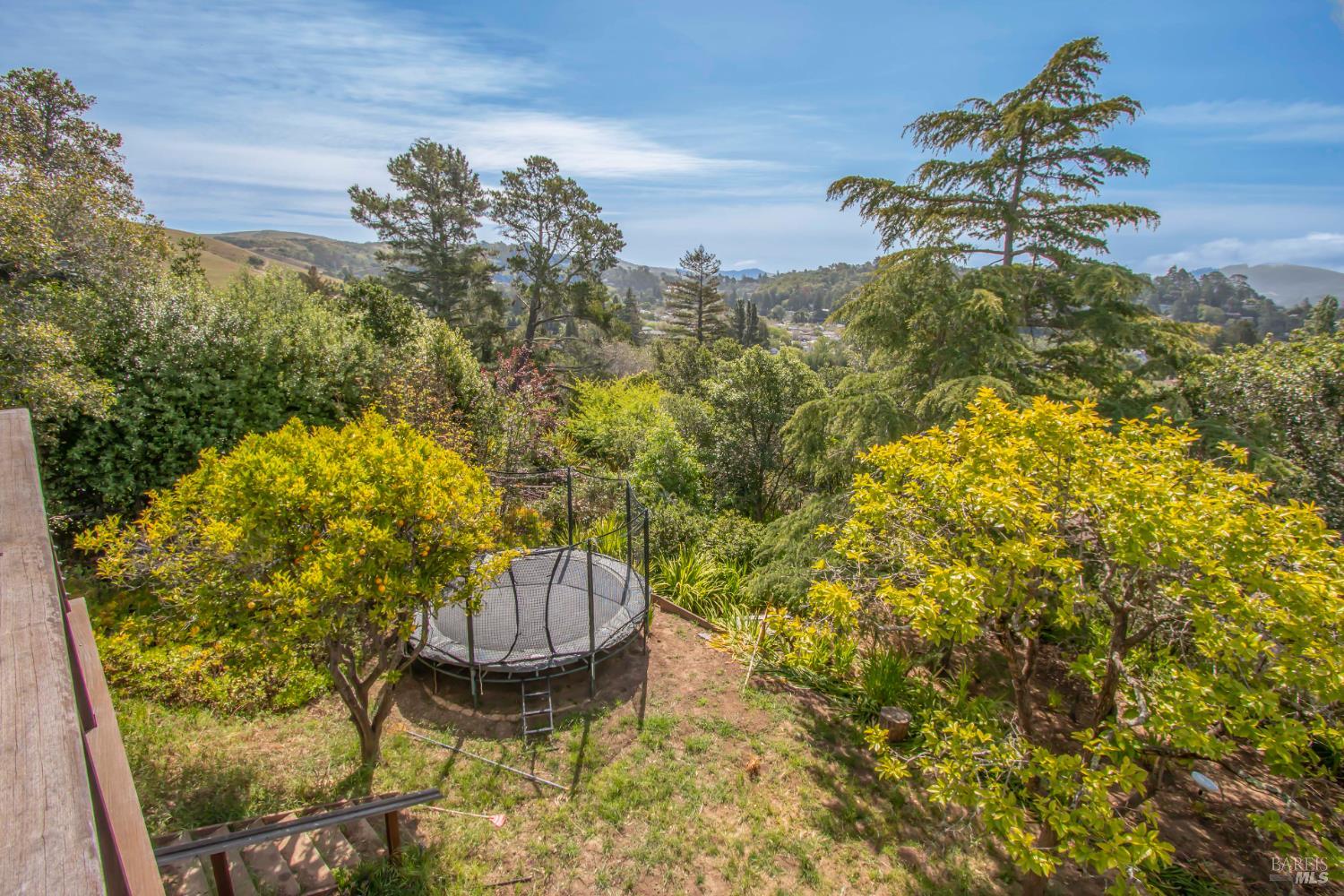 Detail Gallery Image 28 of 28 For 2 Vasco Dr, Mill Valley,  CA 94941 - 4 Beds | 3 Baths