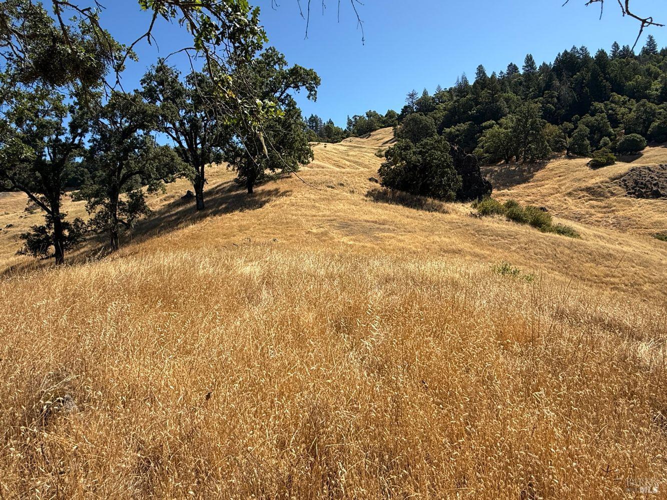 Detail Gallery Image 13 of 19 For 19401 Tomki Rd, Redwood Valley,  CA 95470 - – Beds | – Baths