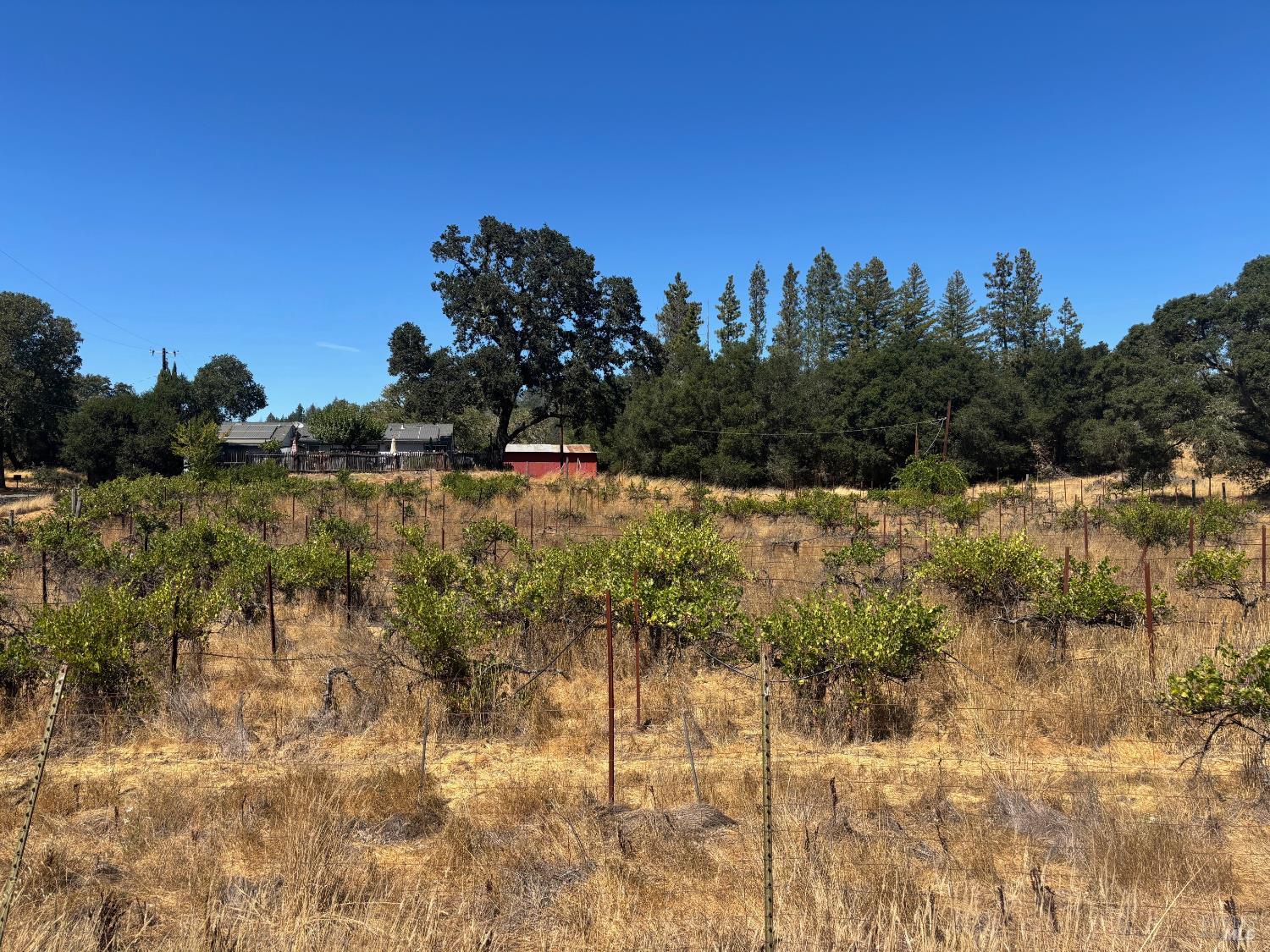 Detail Gallery Image 19 of 29 For 5141 Sharp Rd, Calistoga,  CA 94515 - 2 Beds | 1 Baths