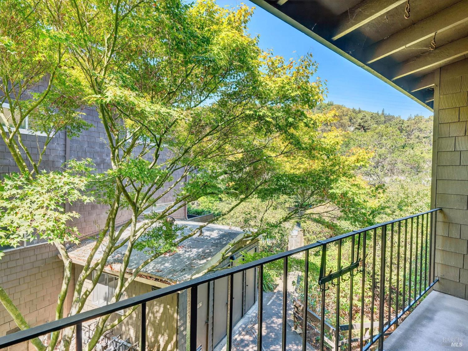 Detail Gallery Image 13 of 25 For 1411 Casa Buena Dr #14,  Corte Madera,  CA 94925 - 3 Beds | 1/1 Baths