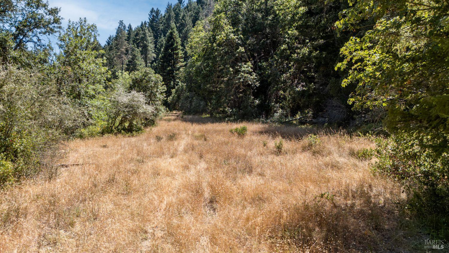 Detail Gallery Image 5 of 19 For 19401 Tomki Rd, Redwood Valley,  CA 95470 - – Beds | – Baths