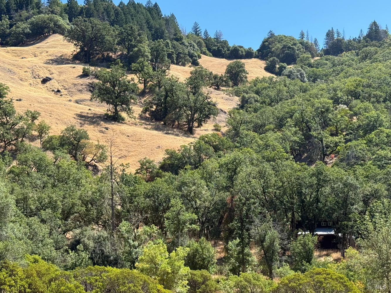 Detail Gallery Image 6 of 19 For 19401 Tomki Rd, Redwood Valley,  CA 95470 - – Beds | – Baths