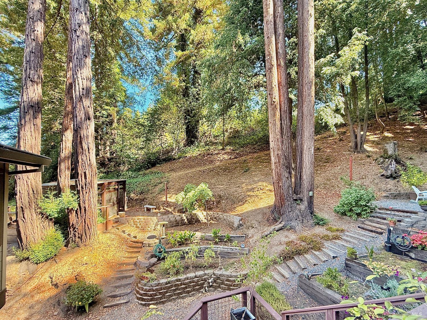 Detail Gallery Image 26 of 46 For 14235 Armstrong Woods Rd, Guerneville,  CA 95446 - 2 Beds | 2 Baths
