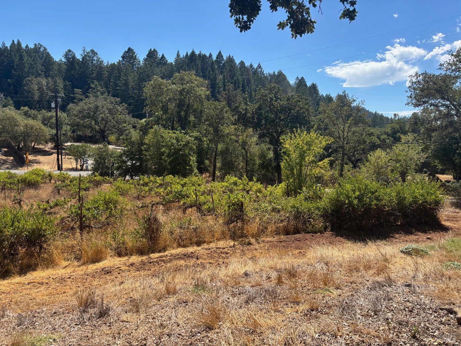 Detail Gallery Image 17 of 29 For 5141 Sharp Rd, Calistoga,  CA 94515 - 2 Beds | 1 Baths