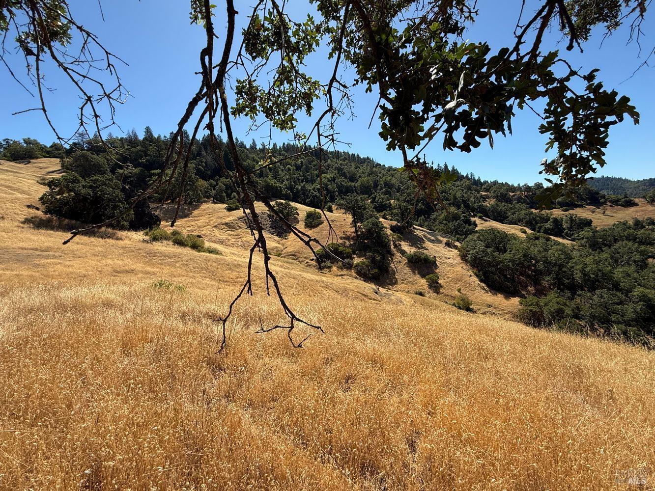 Detail Gallery Image 11 of 19 For 19401 Tomki Rd, Redwood Valley,  CA 95470 - – Beds | – Baths