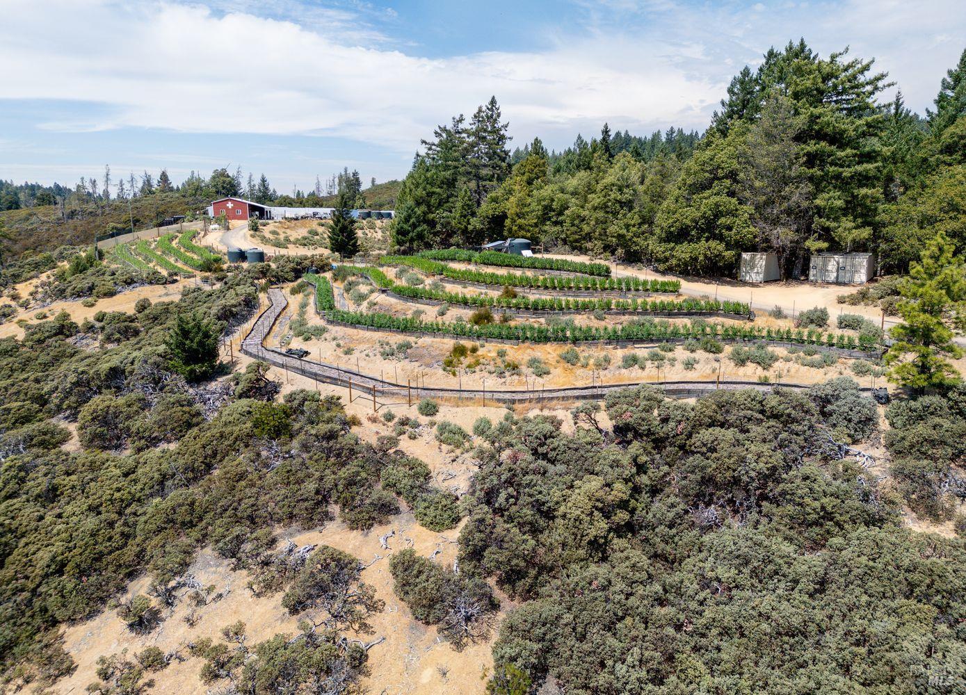Detail Gallery Image 36 of 37 For 19450 Tomki Rd, Redwood Valley,  CA 95470 - – Beds | – Baths
