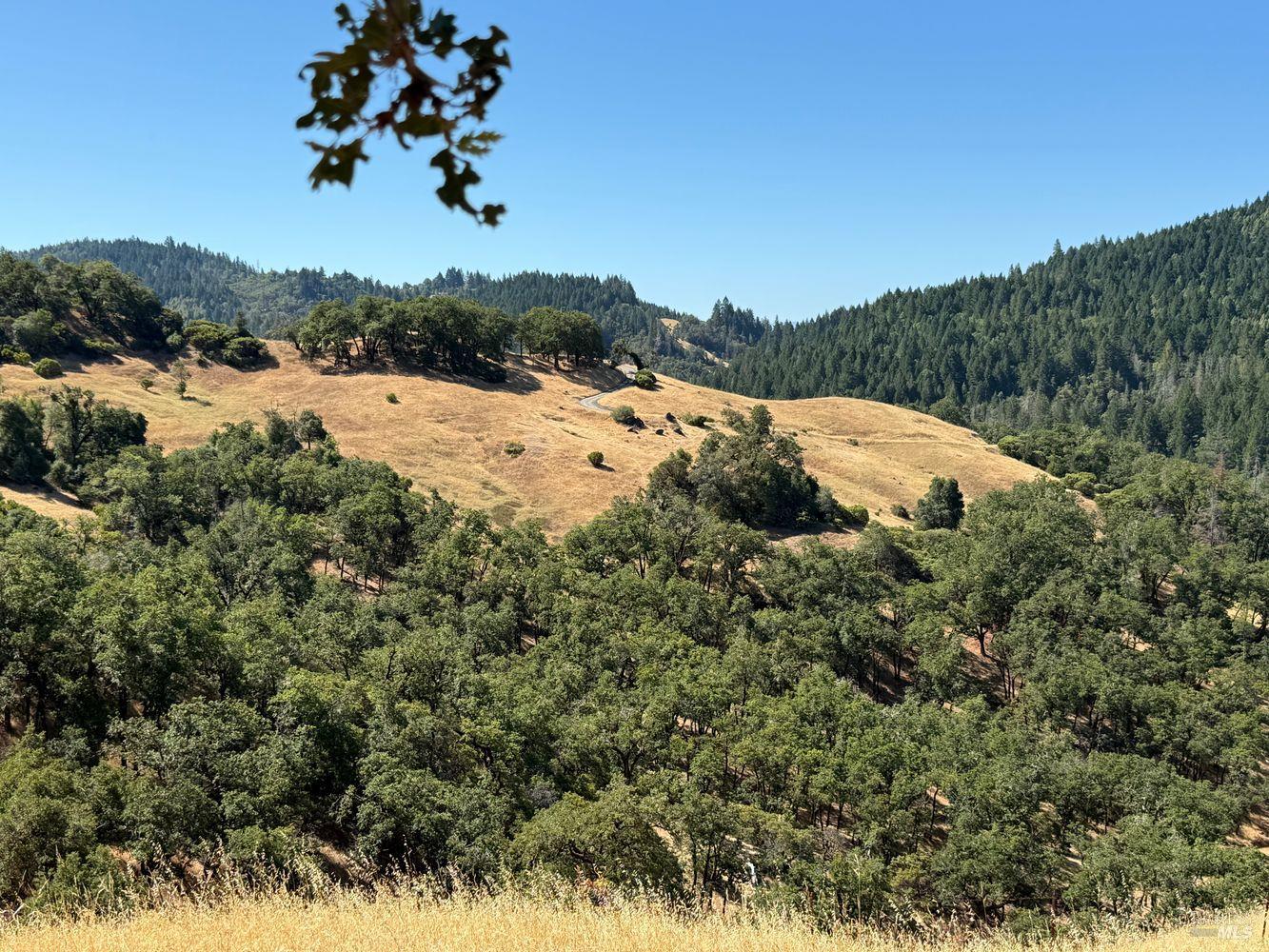 Detail Gallery Image 2 of 19 For 19401 Tomki Rd, Redwood Valley,  CA 95470 - – Beds | – Baths