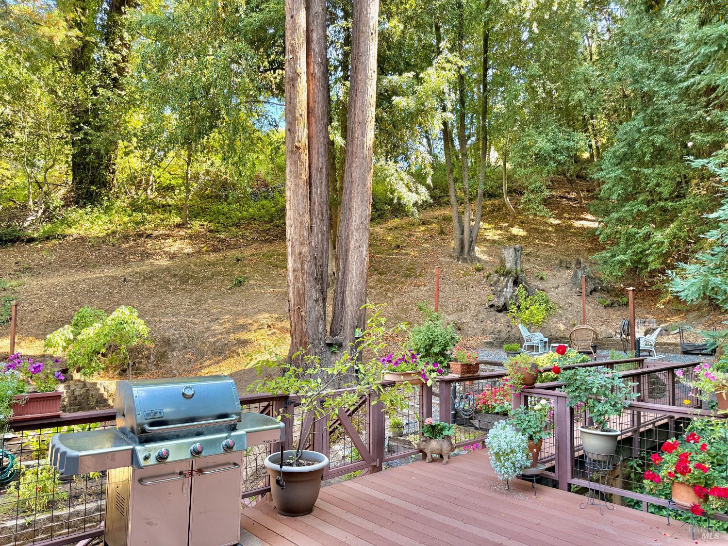 Detail Gallery Image 28 of 46 For 14235 Armstrong Woods Rd, Guerneville,  CA 95446 - 2 Beds | 2 Baths