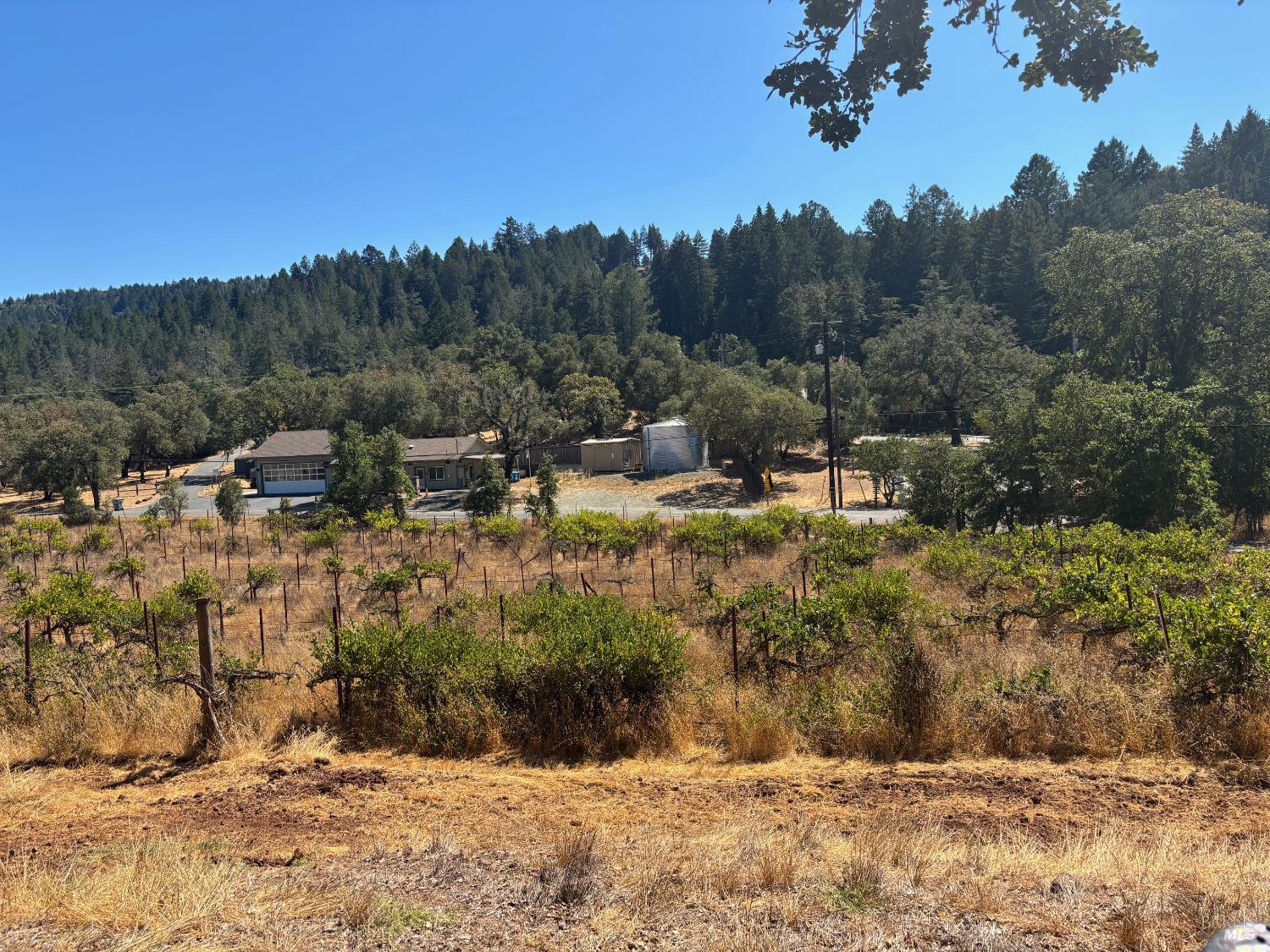 Detail Gallery Image 15 of 29 For 5141 Sharp Rd, Calistoga,  CA 94515 - 2 Beds | 1 Baths