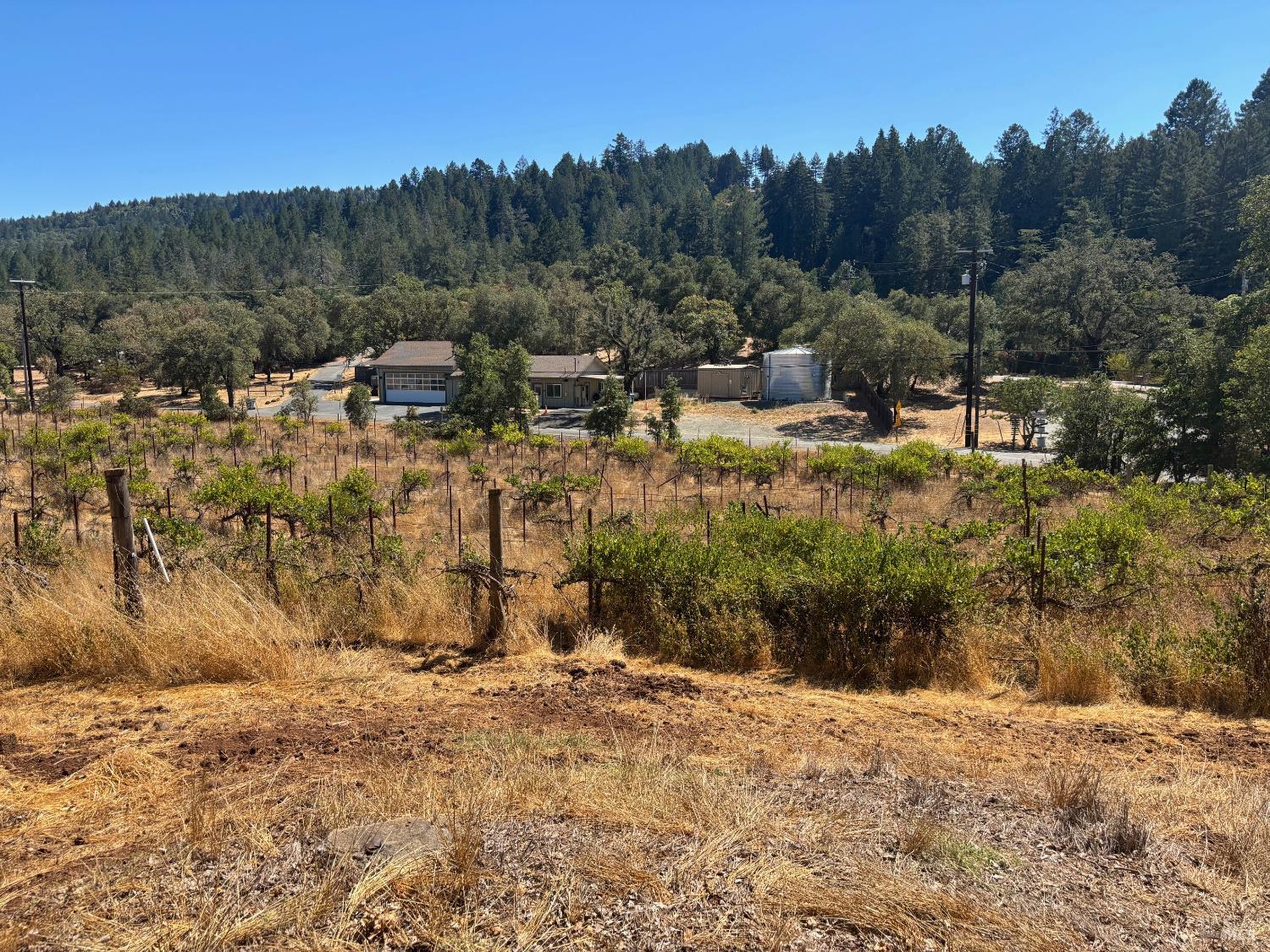 Detail Gallery Image 18 of 29 For 5141 Sharp Rd, Calistoga,  CA 94515 - 2 Beds | 1 Baths