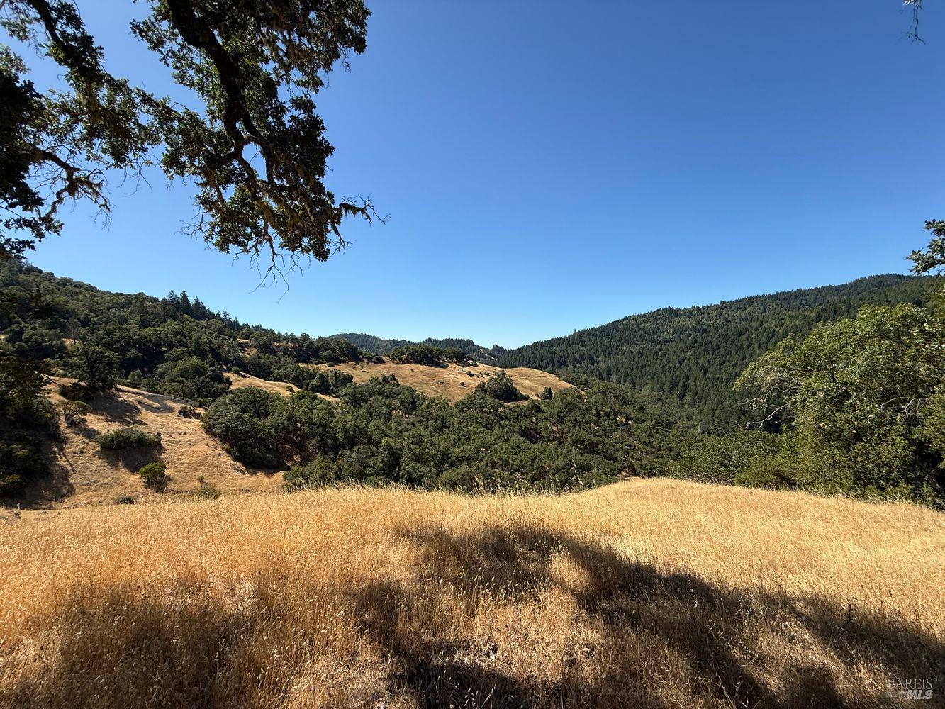 Detail Gallery Image 14 of 19 For 19401 Tomki Rd, Redwood Valley,  CA 95470 - – Beds | – Baths