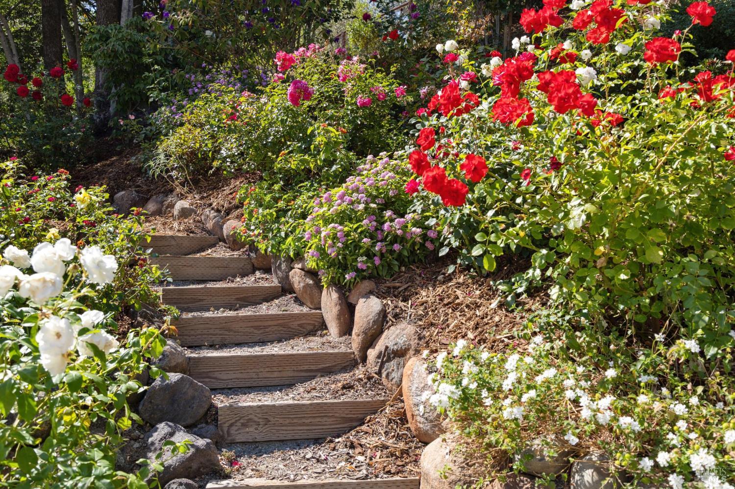 Detail Gallery Image 47 of 55 For 357 Mountain View Ave, San Rafael,  CA 94901 - 4 Beds | 2 Baths