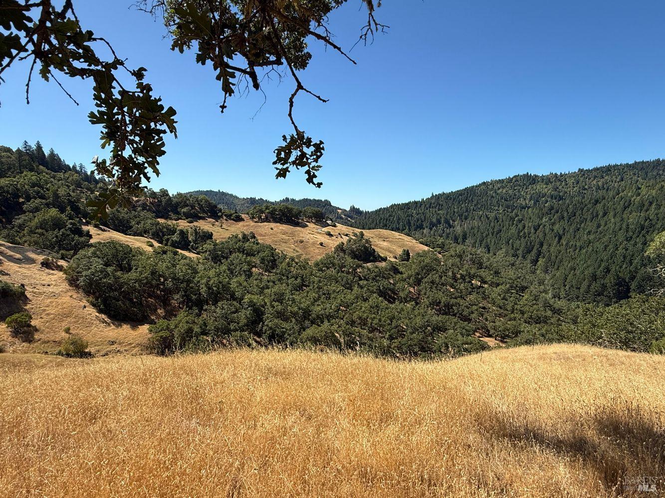 Detail Gallery Image 10 of 19 For 19401 Tomki Rd, Redwood Valley,  CA 95470 - – Beds | – Baths