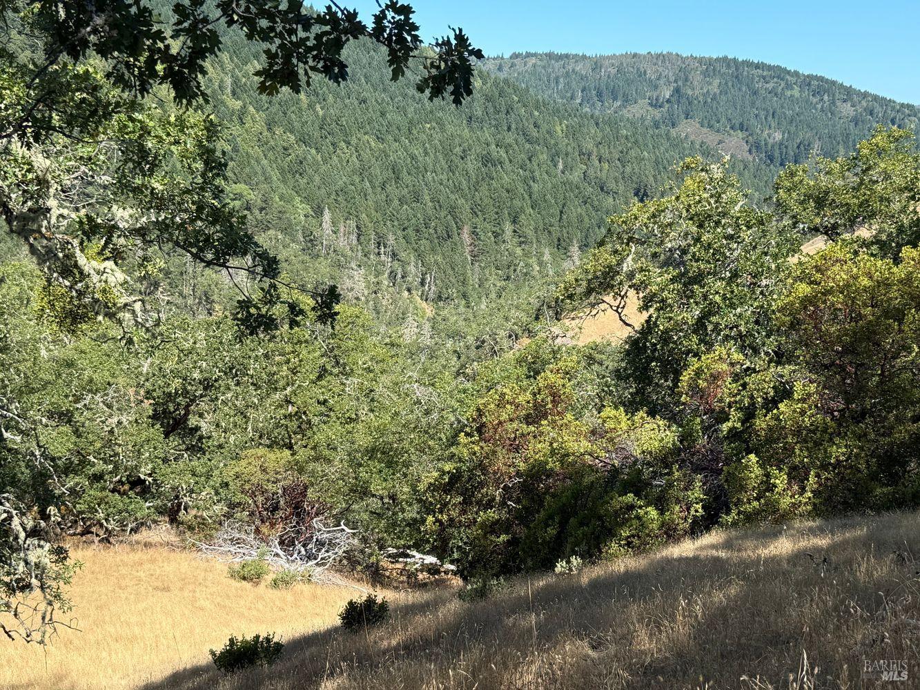 Detail Gallery Image 9 of 19 For 19401 Tomki Rd, Redwood Valley,  CA 95470 - – Beds | – Baths