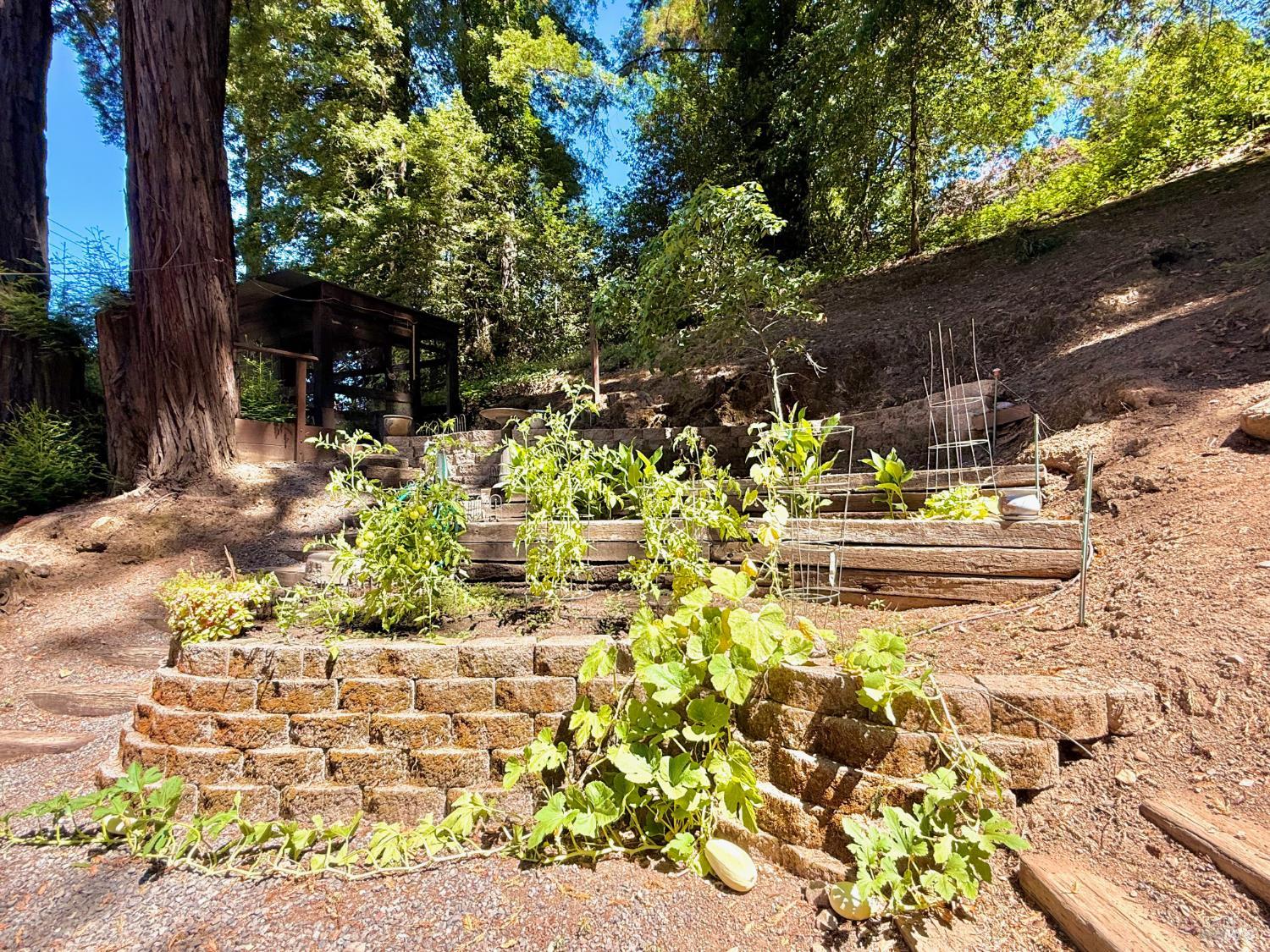 Detail Gallery Image 41 of 46 For 14235 Armstrong Woods Rd, Guerneville,  CA 95446 - 2 Beds | 2 Baths