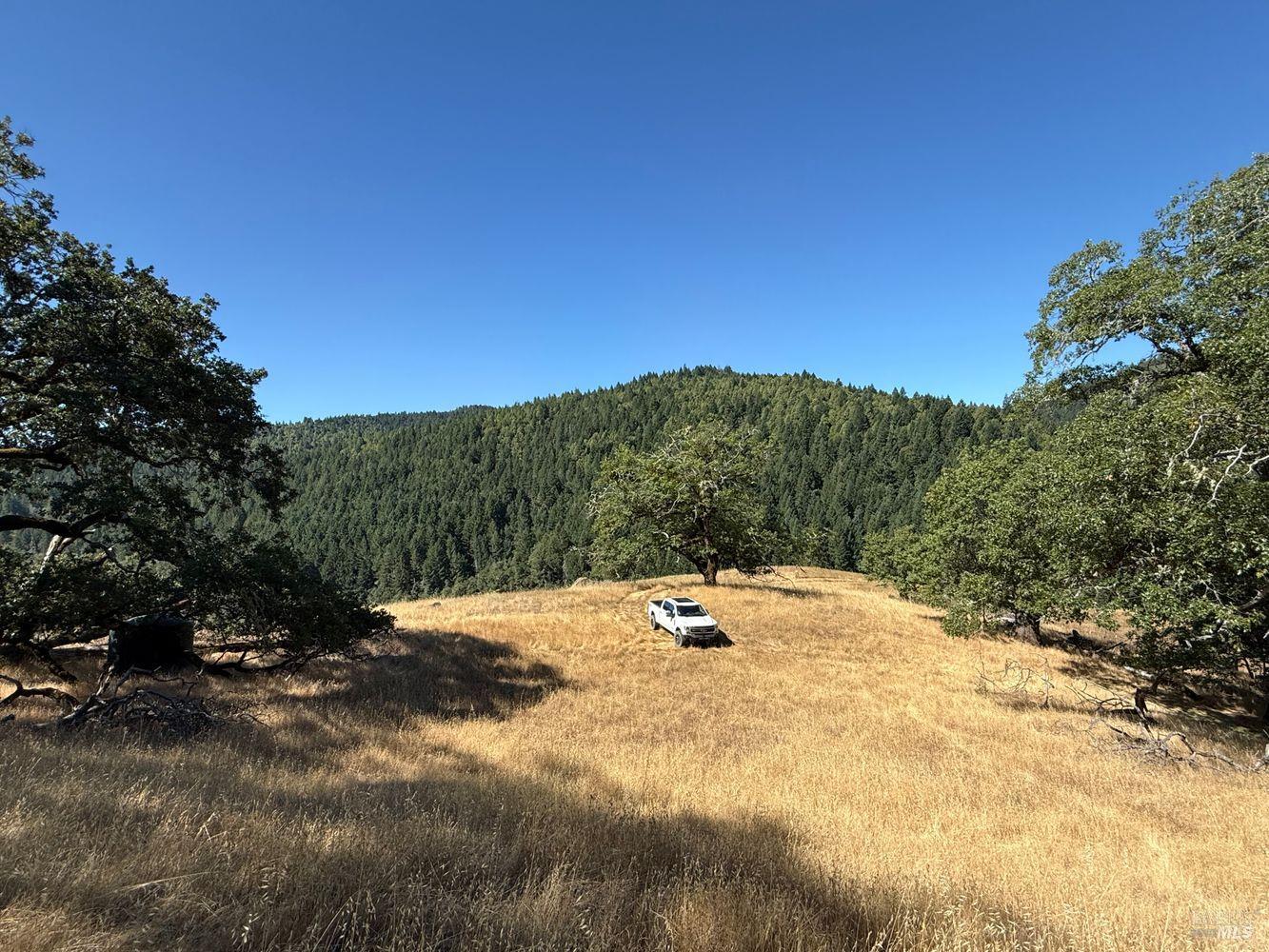 Detail Gallery Image 7 of 19 For 19401 Tomki Rd, Redwood Valley,  CA 95470 - – Beds | – Baths