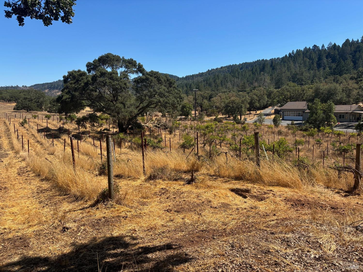 Detail Gallery Image 16 of 29 For 5141 Sharp Rd, Calistoga,  CA 94515 - 2 Beds | 1 Baths