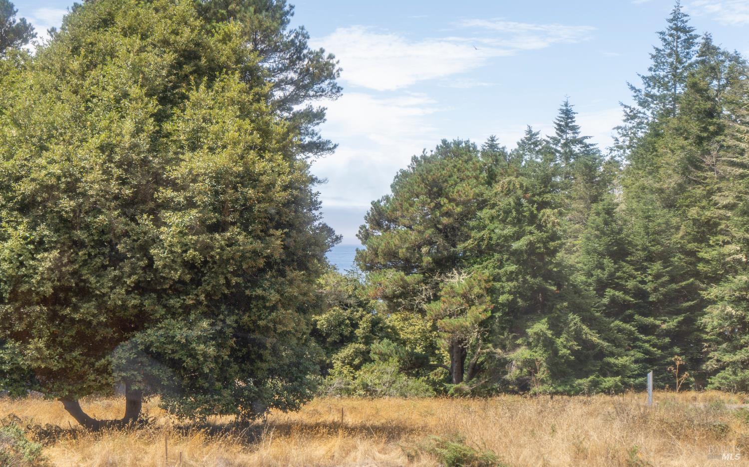 Detail Gallery Image 20 of 48 For 35330 Fly Cloud Rd, The Sea Ranch,  CA 95497 - 1 Beds | 2 Baths