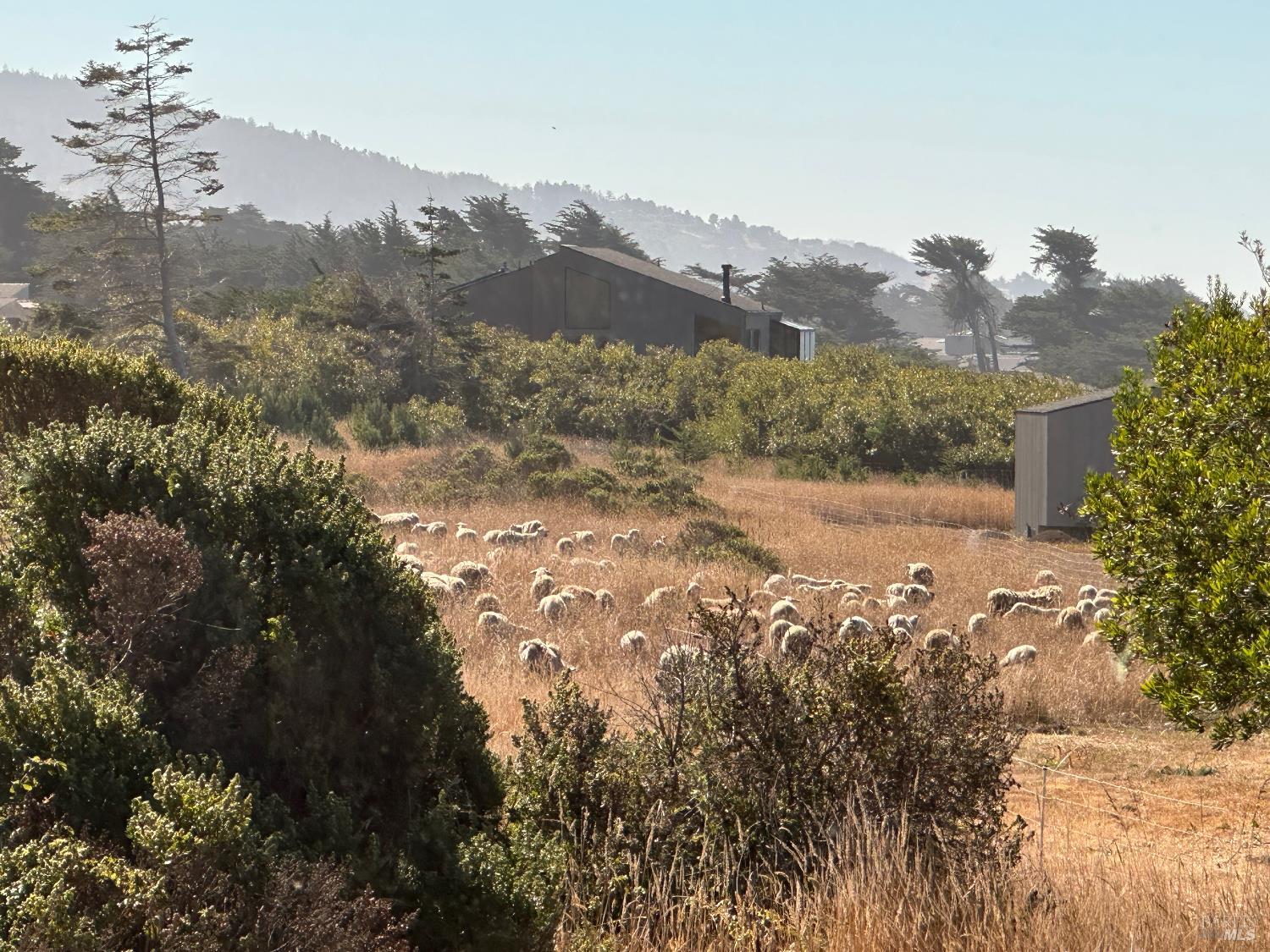 Detail Gallery Image 12 of 46 For 220 Vantage Rd, The Sea Ranch,  CA 95497 - 3 Beds | 2 Baths