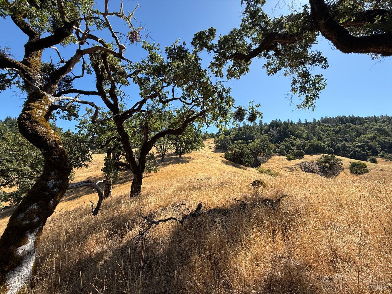 Detail Gallery Image 15 of 19 For 19401 Tomki Rd, Redwood Valley,  CA 95470 - – Beds | – Baths