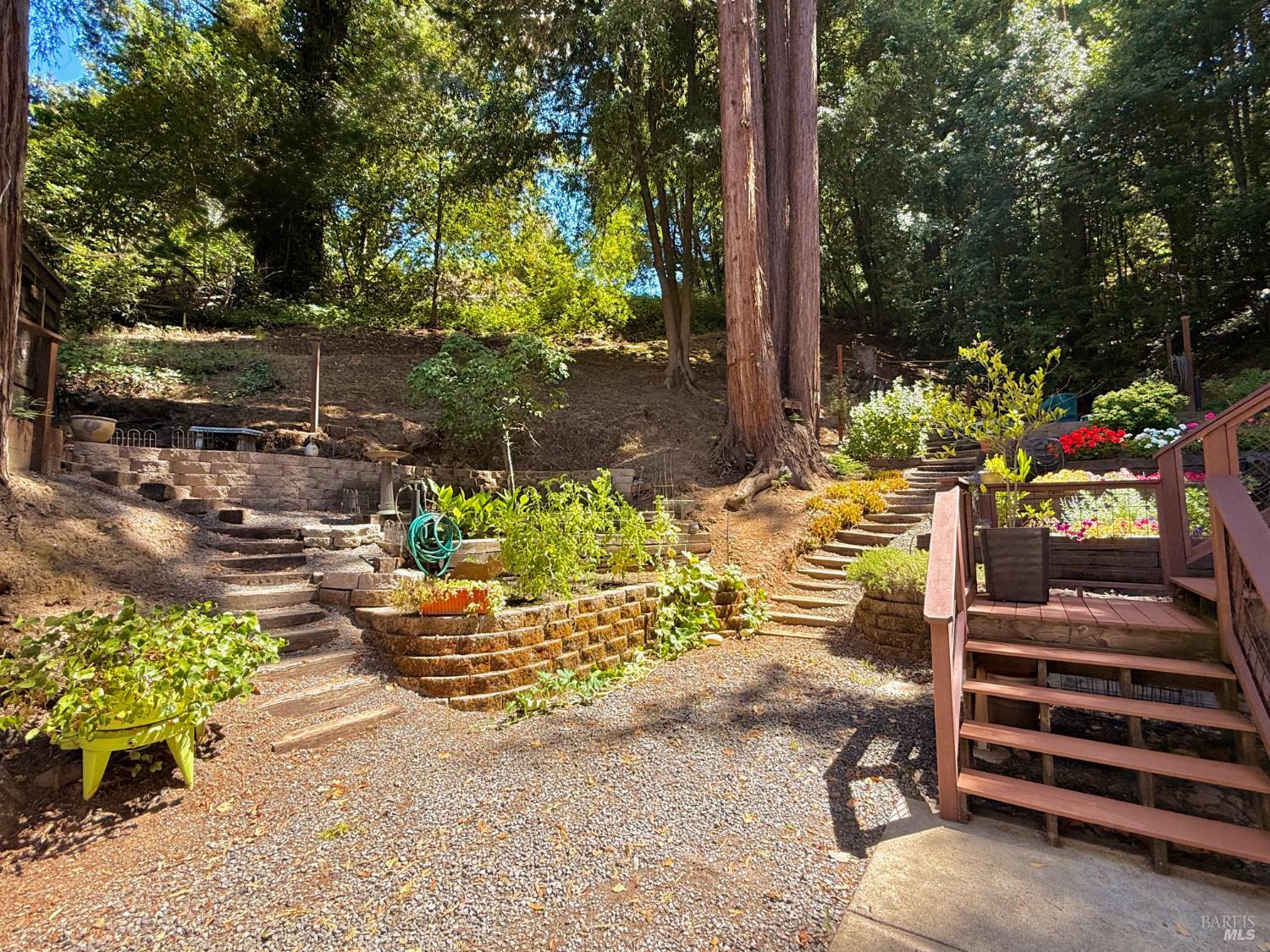 Detail Gallery Image 6 of 46 For 14235 Armstrong Woods Rd, Guerneville,  CA 95446 - 2 Beds | 2 Baths