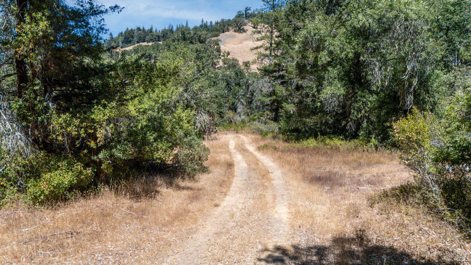 Detail Gallery Image 8 of 19 For 19401 Tomki Rd, Redwood Valley,  CA 95470 - – Beds | – Baths