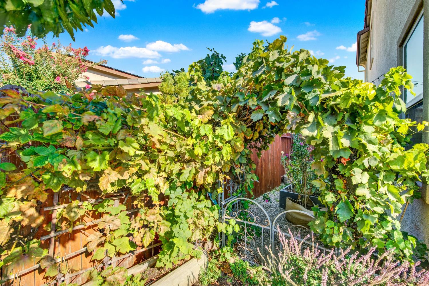 Detail Gallery Image 69 of 73 For 248 via Del Sol Unkn, Vacaville,  CA 95687 - 4 Beds | 3 Baths