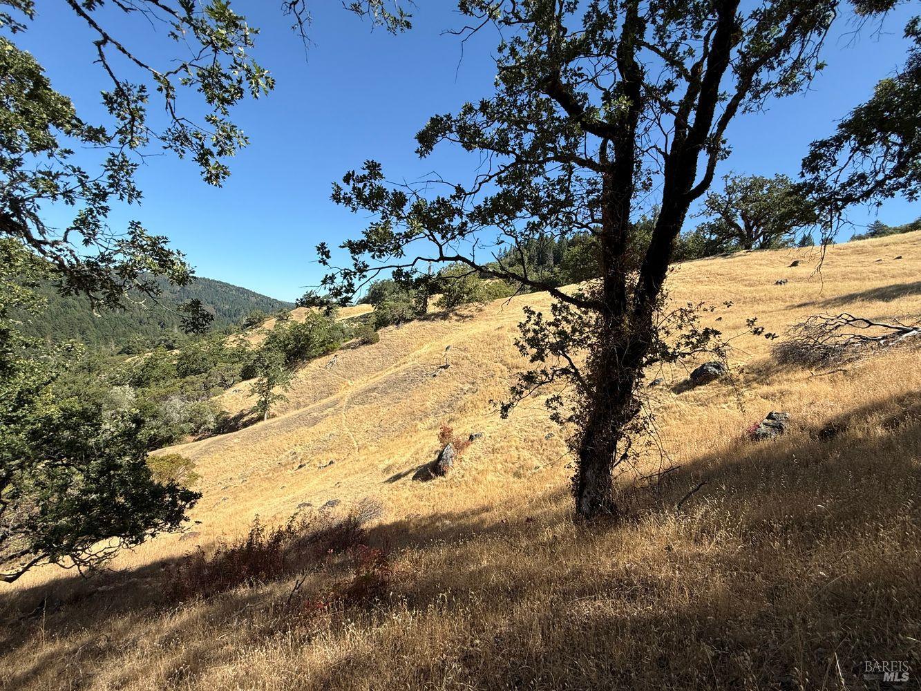 Detail Gallery Image 16 of 19 For 19401 Tomki Rd, Redwood Valley,  CA 95470 - – Beds | – Baths