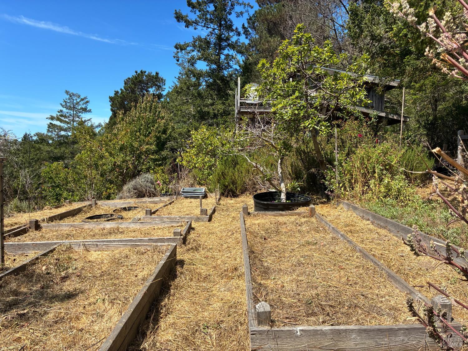 Detail Gallery Image 29 of 49 For 44990 Bill Owens Rd, Point Arena,  CA 95468 - 3 Beds | 1 Baths