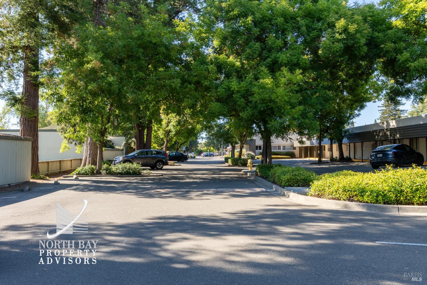 Detail Gallery Image 7 of 10 For 1200 Sonoma Ave, Santa Rosa,  CA 95405 - – Beds | – Baths