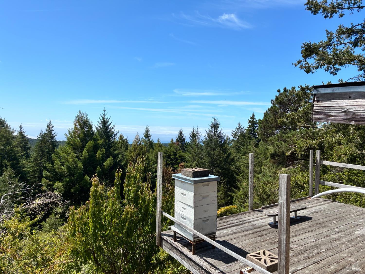 Detail Gallery Image 39 of 49 For 44990 Bill Owens Rd, Point Arena,  CA 95468 - 3 Beds | 1 Baths