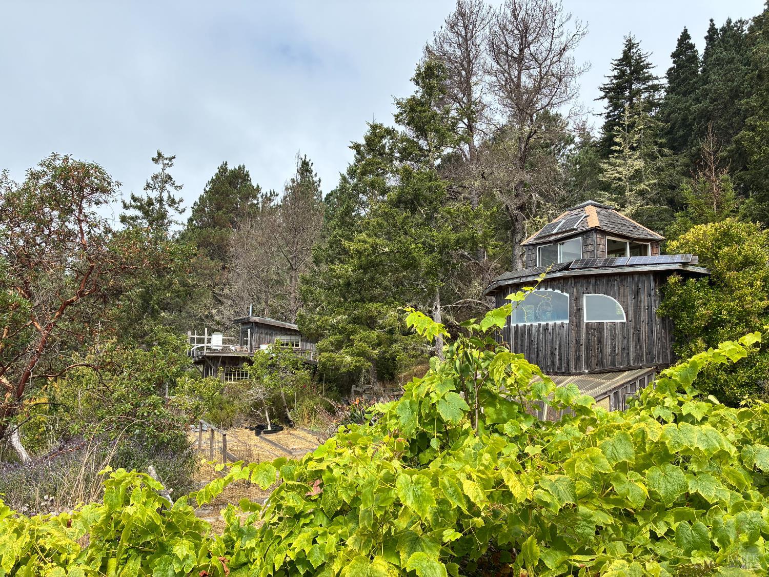 Detail Gallery Image 5 of 49 For 44990 Bill Owens Rd, Point Arena,  CA 95468 - 3 Beds | 1 Baths