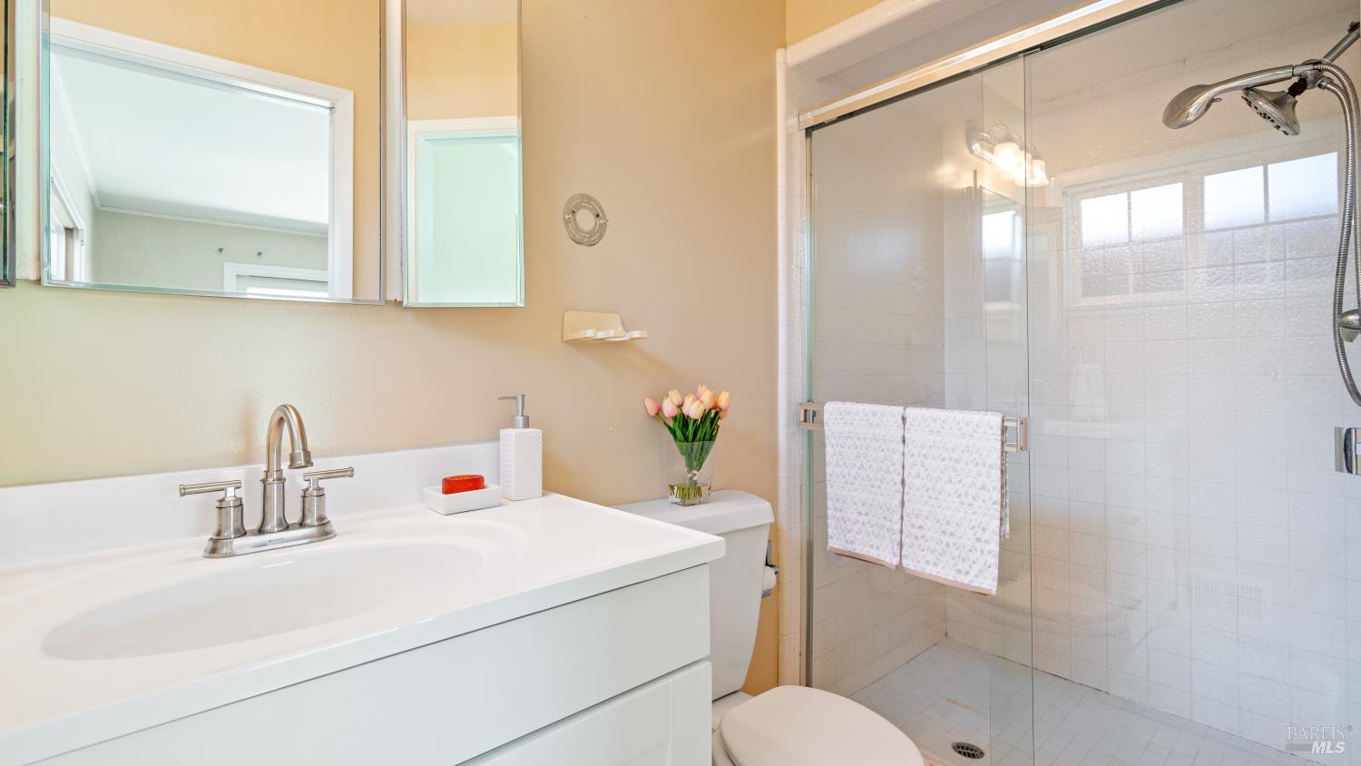 Detail Gallery Image 28 of 44 For 120 Meriam Dr, San Rafael,  CA 94903 - 3 Beds | 2/1 Baths