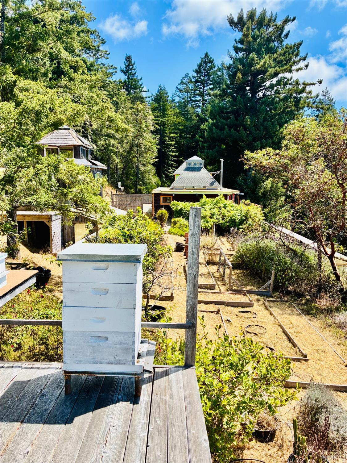 Detail Gallery Image 41 of 49 For 44990 Bill Owens Rd, Point Arena,  CA 95468 - 3 Beds | 1 Baths